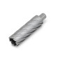 Fraise HSS NOVA 100 Weldon 3/4" - Ø22x100mm Référence 63134220054 Fein