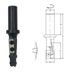 PORTE OUTILS A CALIBRER DIAM.20X38 QUEUE 20X50  Z2+2 BIAISE ALTERNEE